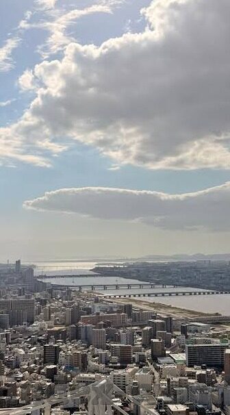 星空综合体育app登录-星空综合体育App登录，解锁多元化体育活动的新窗口